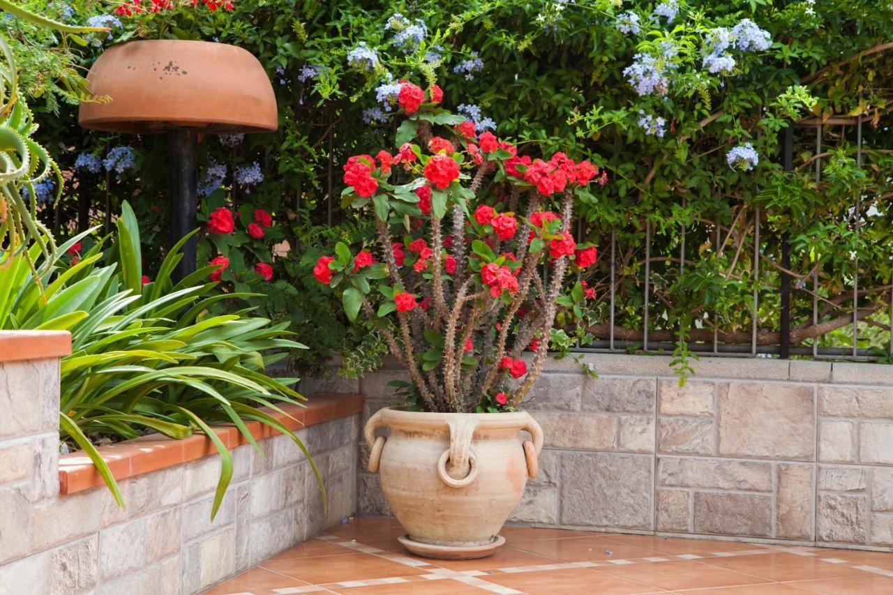 B&B Villa Carmen SantʼAlessio Siculo エクステリア 写真